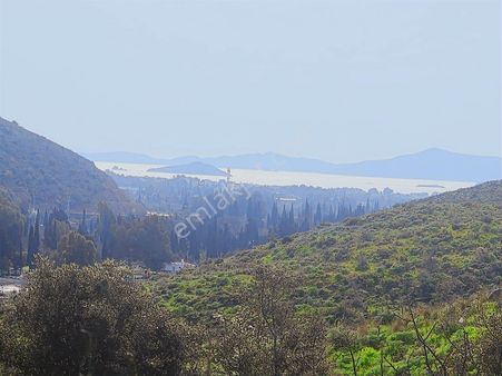 Bodrum Turgutreis Te Deniz Manzaralı Tarla