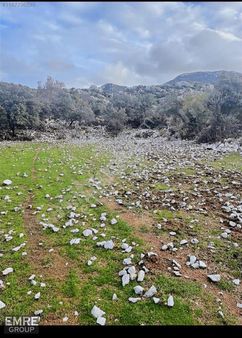 Selimiye Kızılköy De Satılık Geniş Tarla