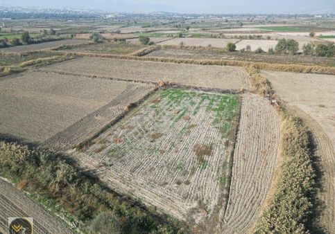 Mirac Emlaktan Sigma Da 3 Dönüm Her Türlü Ekime Uygun Arazimiz Satılıktır