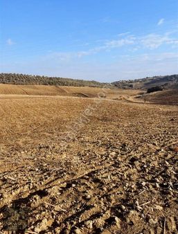 İhtiyaçtan İmar Planlaması İçinde Yeni Toki Civarı Cazip Tarla