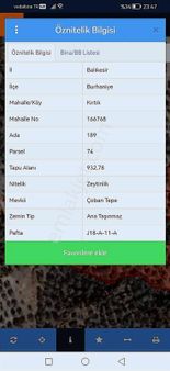 Burhaniye Kırtıkta 930 M2 Acil Yatırımlık Zeytinlik