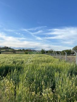 Güdül Güneycede 1000 Lik Ölçek Satılık Tek Tapu Arsa