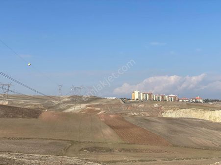 Tek Tapu Takasa Açık Acil