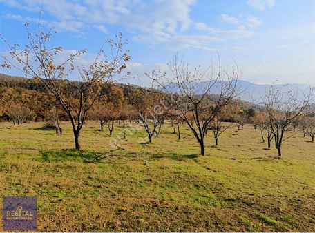 Gemlik Katırlı Mh 16302m² Satılık Arsa Resital Big Gayrimenkulde