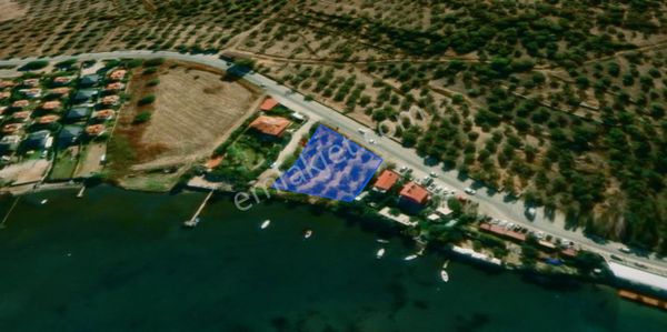 Ayvalık'ın En Değerlisi: Otel/tesis Yapımına Uygun Denize Sıfır 1672 M² Parsel