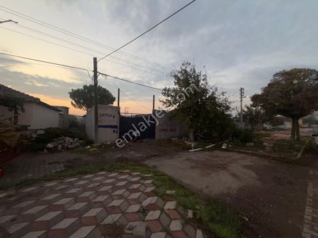 Akhisar Bekirler Mh.köyiçinde Satılık Tek Tapu Müstakil Köyevi Ve Çiftlik