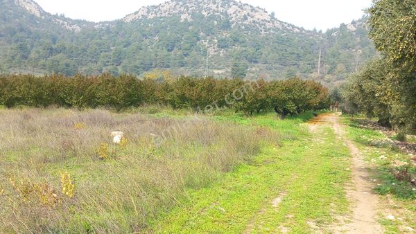 Remax Hür Ülkü Çakar'dan Sakarya Pamukova Oruçlu Mah. Satılık Kısmi İmarlı Arsa