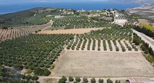 Şirinçavuş Mahallesinde Resmi Yola Cepheli Satılık Tarım Arazisi