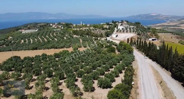 Şirinçavuş Mah Deniz Manzaralı Asfalt Cephe 3,161 M2 Arazi