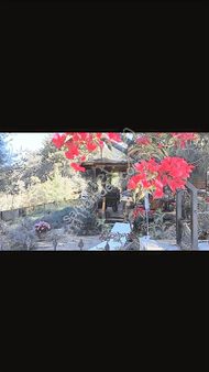 Yetkili Ofs - Gökçeovacık'ta Bahçelı Havuzlu Mustakil Ahsap Ev