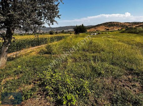 Bigadiç Abacı Mah. Satılık 1310 M2 Kadastral Yola Cephe Tarla