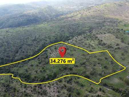 İzmir Bergama Üçtepe Mah. Fırsat Tarla