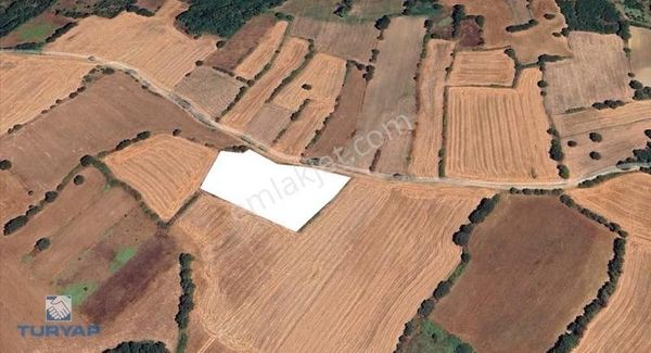 Çanakkale Biga Gürçeşme 7.000m2 Satılık Doğa Manzaralı Tarla