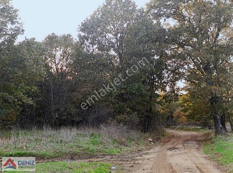 Muhteşem Bir Yatırım Fırsatı Unçukuru Satılık Tarla