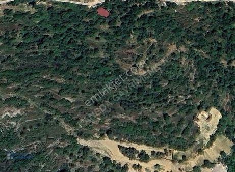 Alanya Bayırkozağacında Değeri Her Geçen Gün Artıyor!