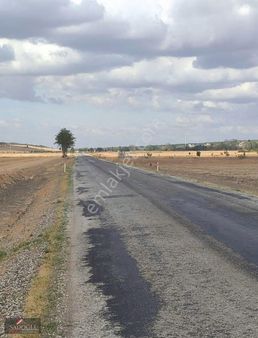 Babaeski Müsellim Köyünde Asfalt Yola Cephe Tek Tapu Uygun Fiyat