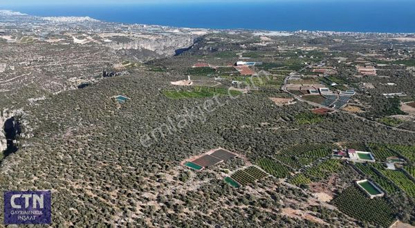 Erdemli Batısandal' Da Full Deniz Manzaralı 981m2 Tarla