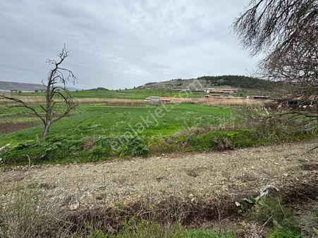 Bigadiçte Çamköy İmarlı Bahçe