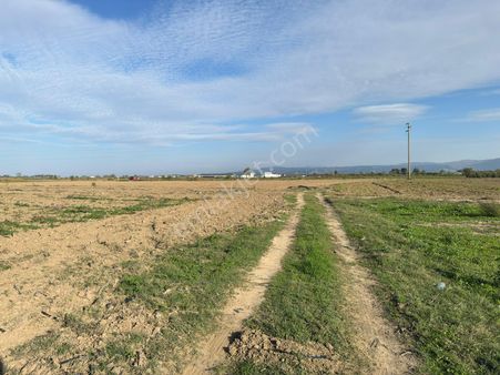 Ovaazatlı 860 M2 Tarla