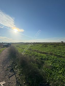 Ovaazatlı 930 M2 Tarla