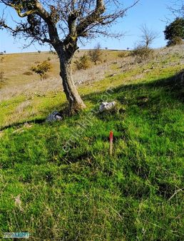 Balıkesir'in Dibinde Kavaklı Da Satılık 6400 M2 Tarla Satılıktır