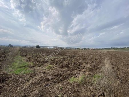 Kristal K2 Pera Bursa Balabancık 3676 M2 Tek Tapu Yatırımlık