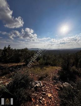 Torbalı Dirmil Köyünde Satılık 3125m2 Fırsat Arsa