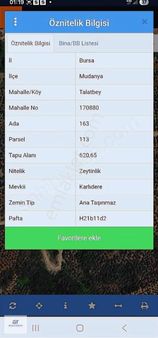 Talatbeyde Tek Tapu Zeytinlik