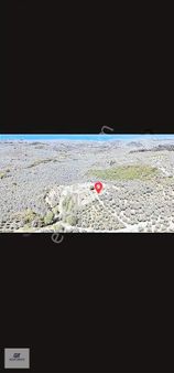 Talatbeyde Harika Hobi Bahçesi