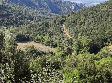 İsminar Gayrimenkul Den Uluabat Gölü Ayva Köyünden Tarlalar