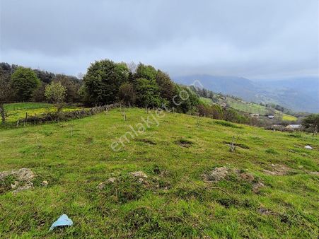Edis Emlak'tan Satılık Ev Yapılabilir Araç Takaslı Arazi