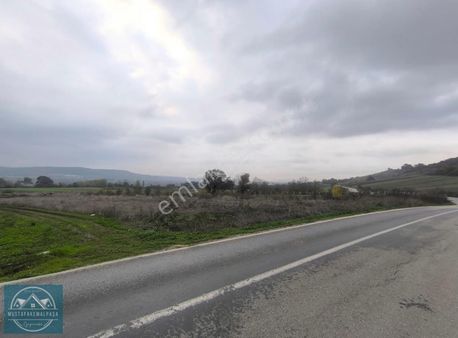 M.k.paşa Gayrimenkulden Behramda 6300m2 Asfalt Yola Cephe Arazi