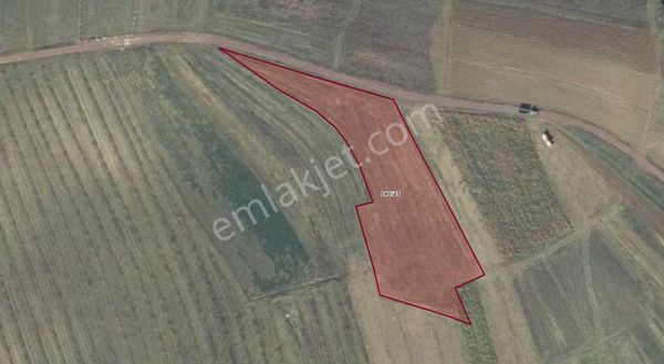 Kandıra Karadivan Mah. 4891 M² Yola Cephe %5 İmarlı Tarla