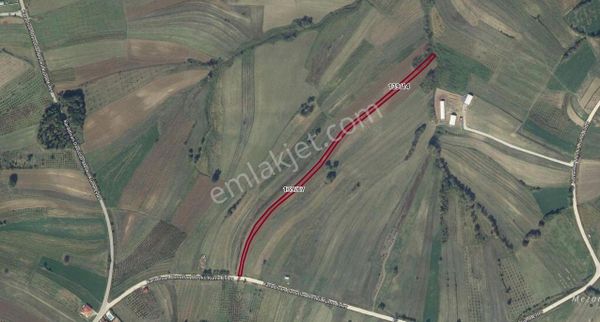 Kandıra Karadivan Mah. 1416 M² Satılık Tarla