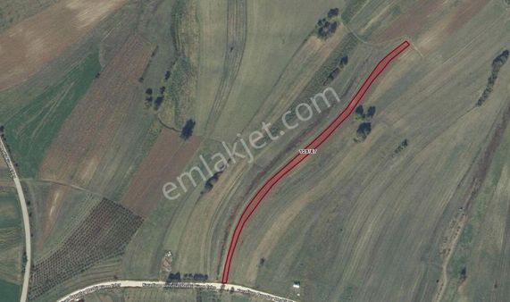 Kandıra Karadivan Mah. 2723 M² Satılık Yola Cephe Tarla