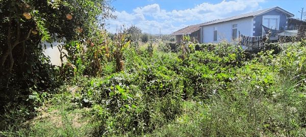 Edis Emlak'tan Satılık Bafra Alparslanda 5 Kat İmarlı Arsa