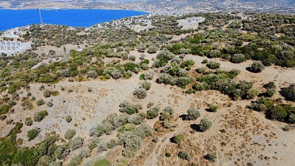 Yatırım'a Uygun 325 M2 Değerli Kupon Arsa!