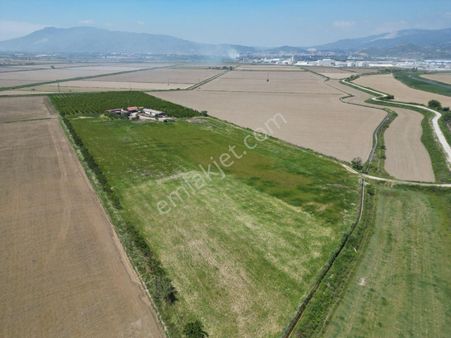 Fırsat ! 46.000 M2 Nar Bahçesi Ve 3 Damlı Kargir Evi Olan Çiflik Arazizi Acil