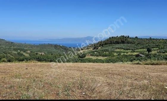 Gündoğdu'da Deniz Manzaralı Tek Tapu Tarla