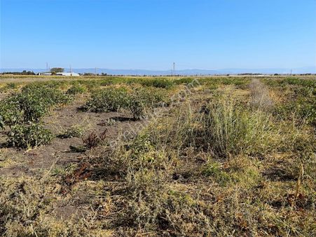 Karacabey Seyranda Tek Tapu Ana Yolun Yanında 2500 M2 Tarla