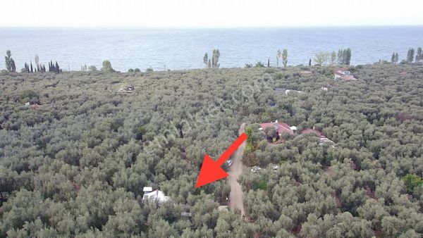 Göle 1 Dk Uzaklıkta Tel-çit Demır Kapılı Yazlık