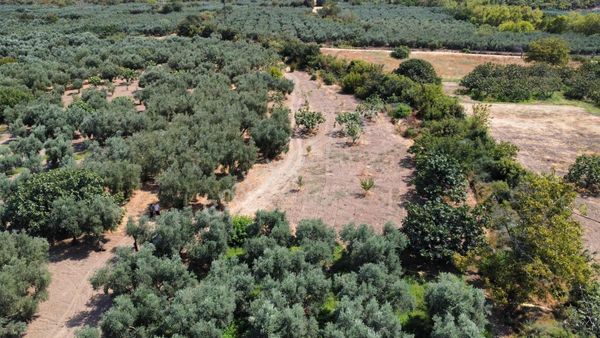 Nilüfer Fadıllı Da Satılık 1150 M2 Müstakil Parsel