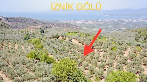 Ful Göl Ve Doğa Manzaralı Uygun Fıyata Ihtıyactan Satılık