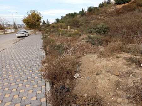 100 Yıl Mah Blv Üzeri 540 M2 Müstakil Tapu Enfes Arsa