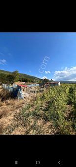 Sansarak Kanyon Yolunda Kose Yakin Asfal Kenari Arsa