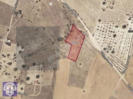 Göreme Kıtlıkta 2.680 M² Bağ Yatırımlık Fırsat Arazi!