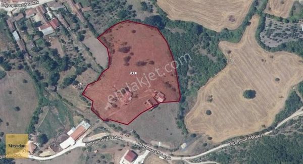 Mayadan Manyas Boğazpınar Köyünde Satılık Yatırımlık Arsa