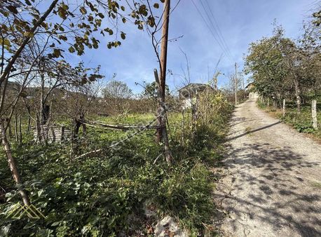 Trabzon Esenyurt'ta Satılık 600 M2 Fırsat Arsa