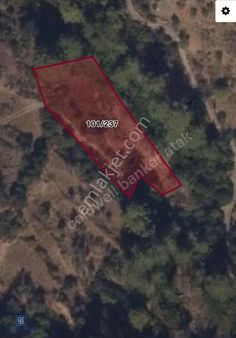 Muğla Milas Demirciler Mahallesinde Satılık Zeytinli Tarla