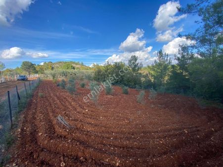 Muğla Yerkesik’te 1078 M² Doğa İçinde Yatırımlık Tarla